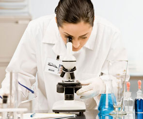 資質(zhì)榮譽(yù)